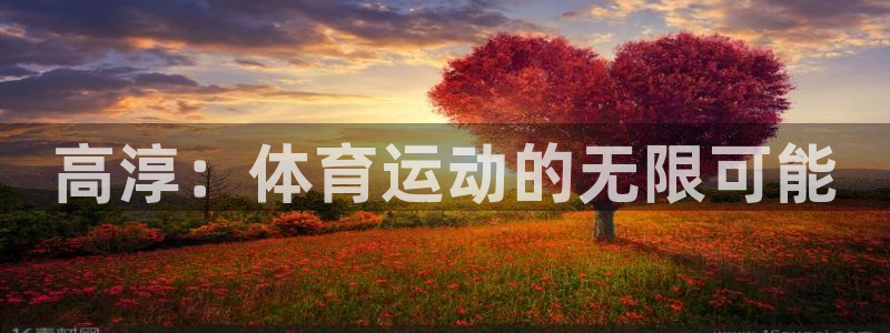 3377体育app官网下载地址：高淳：体育运动的无限可能