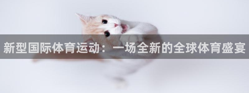 3377体育(中国)官方网站：新型国际体育运动：一场全新的全球体育盛宴