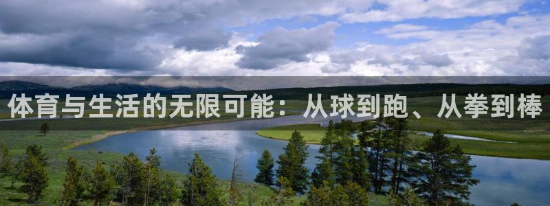3377体育全网：体育与生活的无限可能：从球到跑、从拳到棒