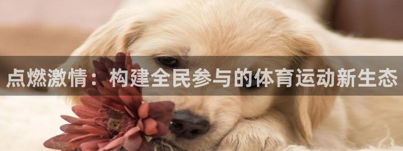 3377体育app官方下载