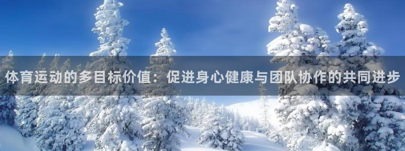 3377体育app登录入口：体育运动的多目标价值：促进身心健康与团队协作的共同进步
