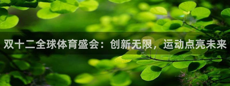 3377体育com：双十二全球体育盛会：创新无限，运动点亮未来