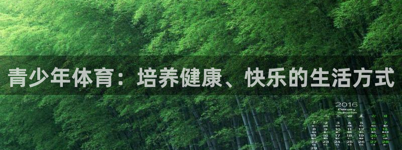 3377体育官网：青少年体育：培养健康、快乐的生活方式