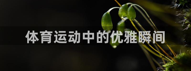 3377体育靠谱吗：体育运动中的优雅瞬间