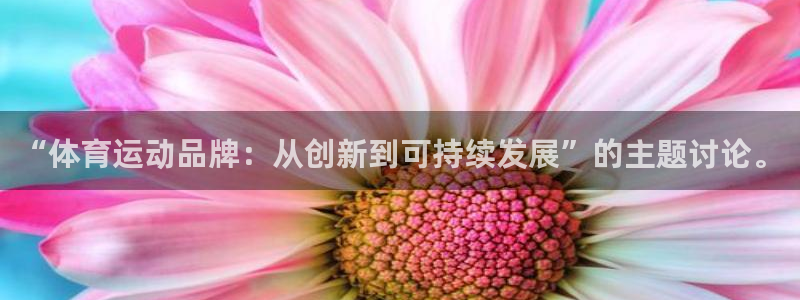 3377体育在线：“体育运动品牌：从创新到可持续发展”的主题讨论。