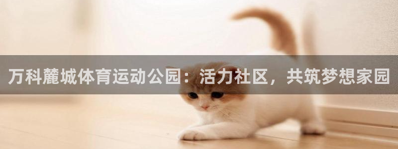 3377体育官网下载