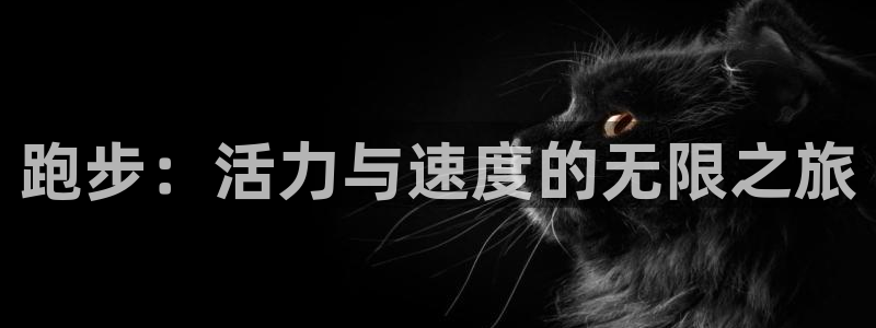 3377体育在线：跑步：活力与速度的无限之旅