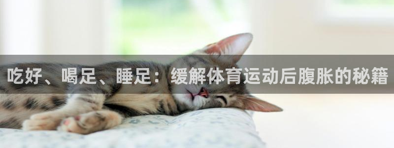 3377体育官网：吃好、喝足、睡足：缓解体育运动后腹胀的秘籍