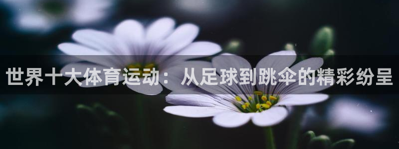 3377体育app登录入口：世界十大体育运动：从足球到跳伞的精彩纷呈