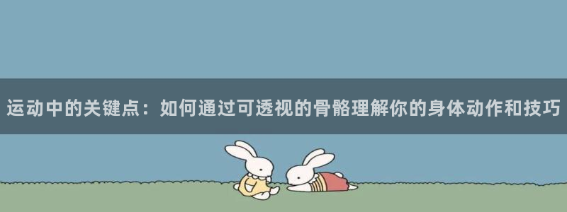 3377体育在线登录官网入口：运动中的关键点：如何通过可透视的骨骼理解你的身体动作和技巧